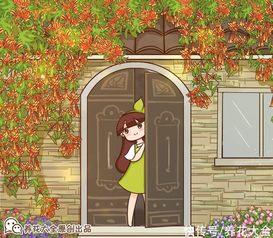 房顶上养了一株花,邻居叫我赶紧砍掉,真是为难