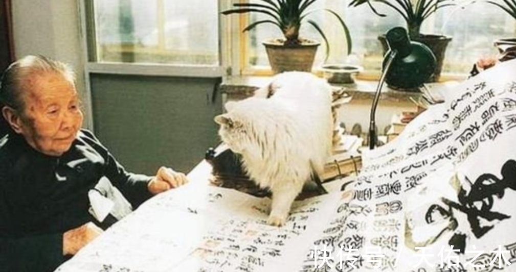 林徽因$被林徽因送陈醋,被张爱玲讽刺,被鲁迅看不上,冰心为何不讨喜?