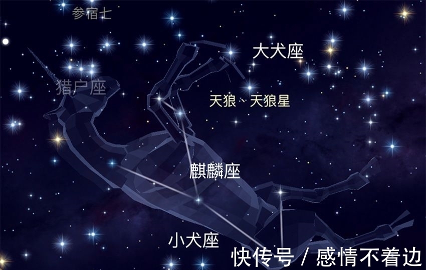 梅花鹿&麒麟真的存在吗?那张麒麟照片又是怎么回事?