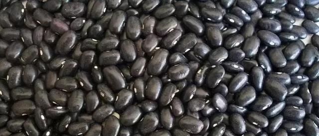 红薯|入冬吃什么最养人冬季食补吃十种宝,不吃就亏了