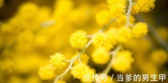 天蝎|9月，迎桃花，傍喜运，姻缘一线牵，从此不再是一个人的四大星座