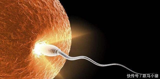 胚胎|孕妈是这种血型,能给宝宝带来4个保护,如果你是的话先恭喜了