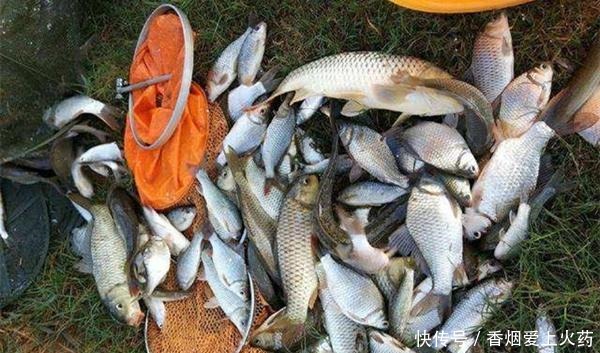 冬季钓鲫鱼,这些漂相是有效漂相,出现赶紧提竿,注意抓小放大