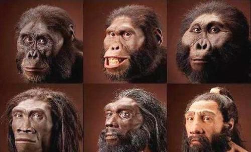 260万年前,一颗距地球163光年的超新星爆炸,或是人类站立原因