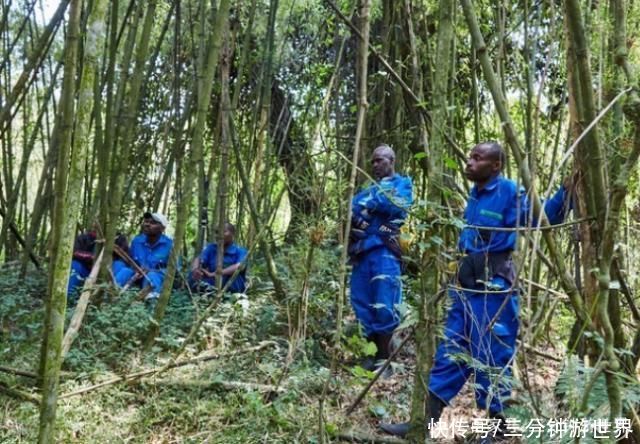 非洲第一个国家公园，每天只让80人参观，排队都要等半年