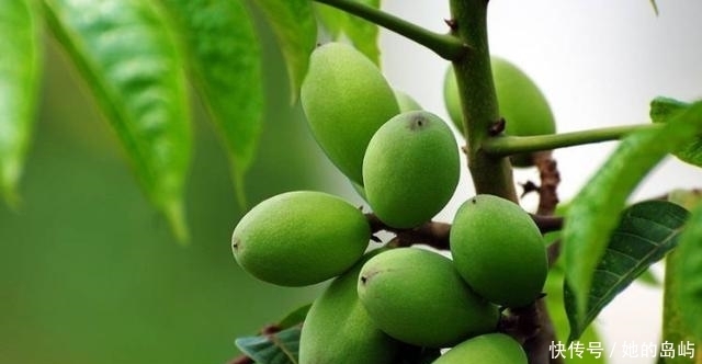 立春之后，不妨多吃以下食物，排出体内湿气，美容瘦身，体质好