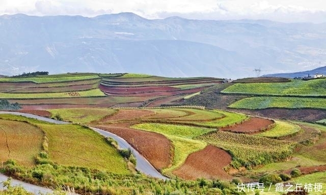 神奇的土地，浓烈的色彩，完美的线条，东川红土地