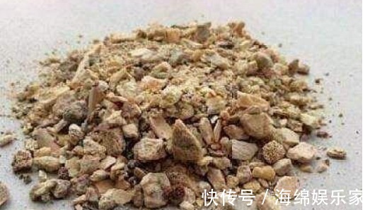 养三角梅,“一种垃圾”扔盆里,肥效顶半年,一年开“好几茬”