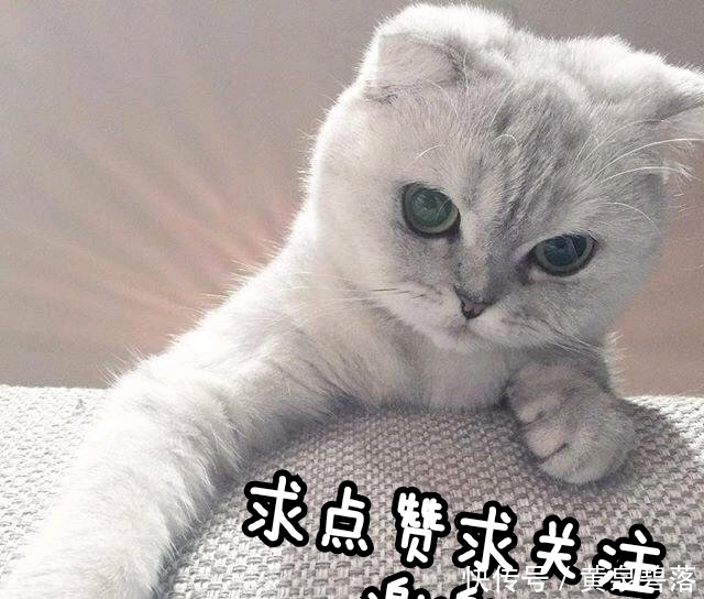 向往的生活 郭麒麟拒绝跑男、密逃却录制了桃花坞,只因他错误理解了节目内涵