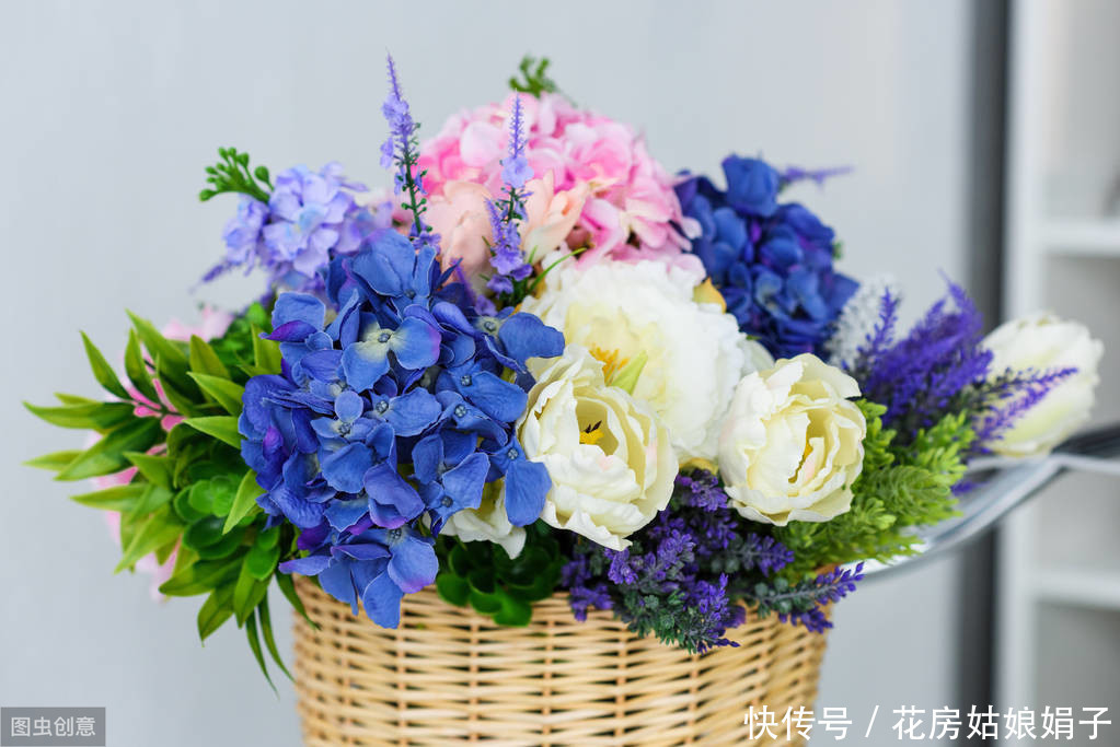 枝条|适合6月里扦插的6种花,插到纸杯里就生根,1根枝条就能成活