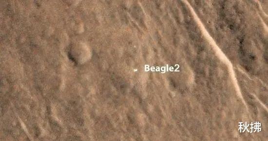 小猎犬 “毛子”的火星魔咒,果然名不虚传