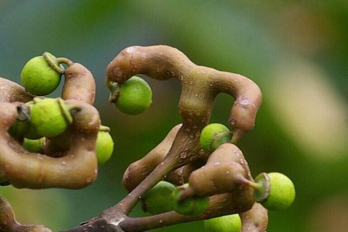 咳嗽|女性不想皱纹爬上脸,不妨多吃此物,小肚子不鼓了,皮肤更显年轻