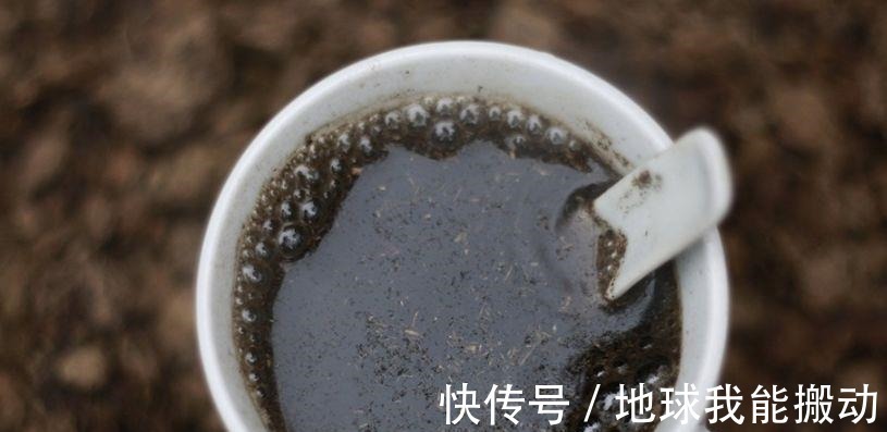 发酵|养花时,盆底铺上30粒“它”,比鸡蛋清、骨渣都管用,养啥爆啥!