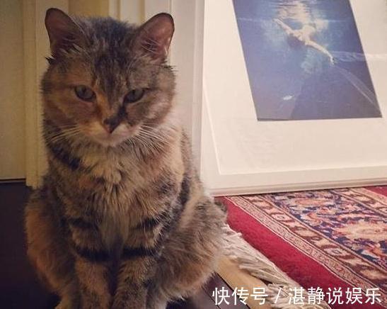 尼格买提|尼格买提晒出自己住的豪宅,家里铺着名贵地毯,装修也太豪华了吧