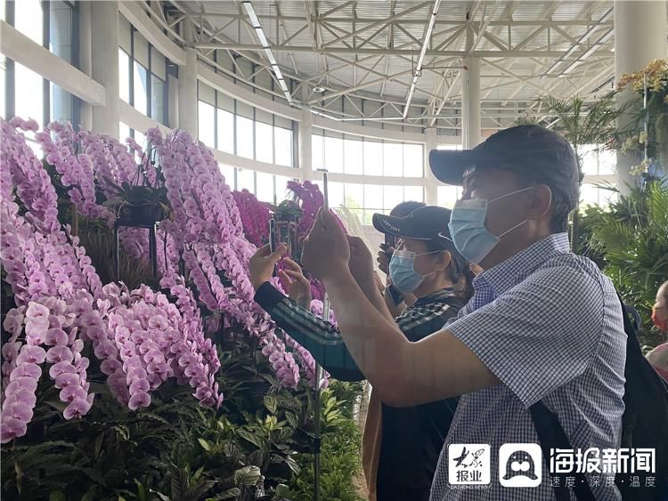 打卡|“十一”假期首日 众多游客打卡花博会