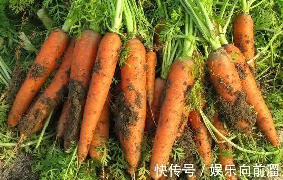 排毒养颜|秋季养生正当时，3种食物不可少，排毒养颜，早吃早受益！