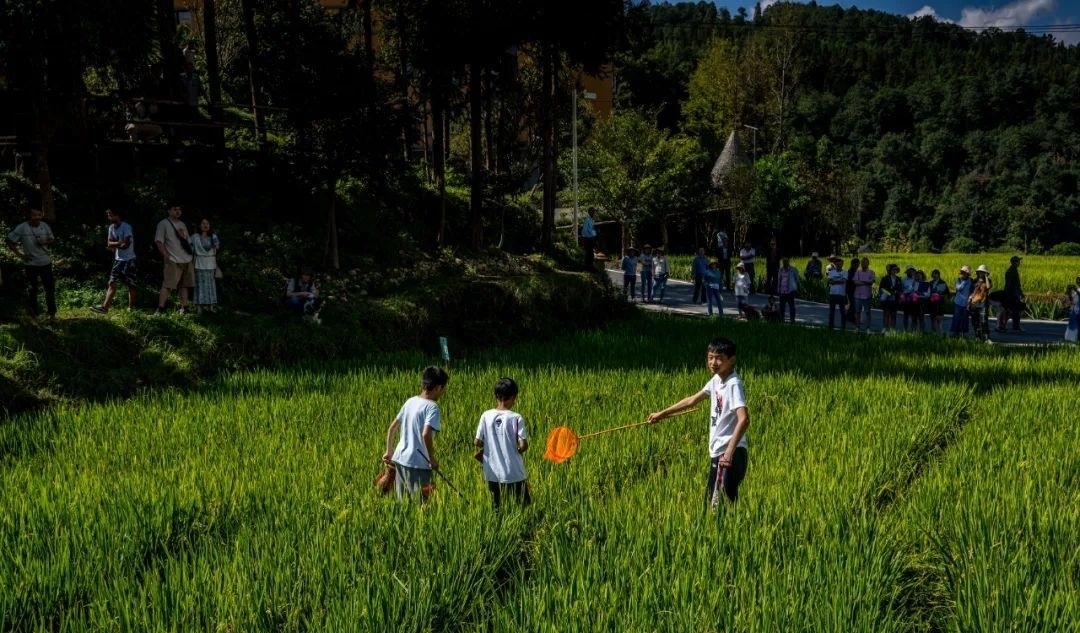 温泉|第五届稻花鱼节欢乐落幕，享受自然与健康尽在腾冲玛御谷