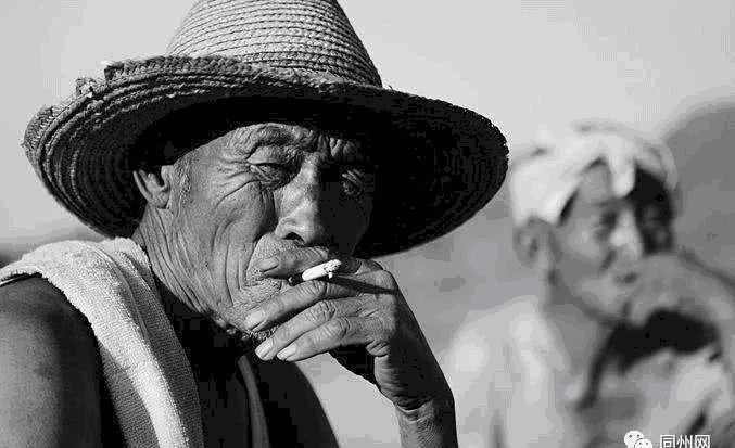 冯联李|王凌琴:杨虎城私放刘省长 冯联李共劫军火船