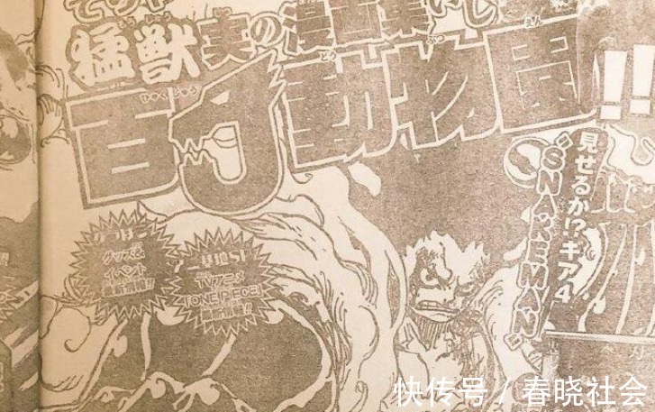 熊猫|海贼王重磅消息,官方暗示路飞四档熊猫形态,击败凯多指日可待