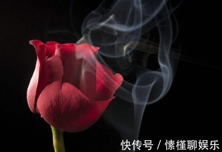 算命的说这三大生肖的女人,温润如玉,最容易让男人一见钟情