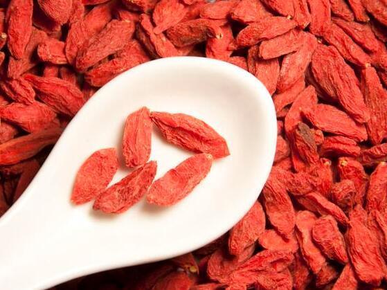 医生|医生枸杞的健康吃法，吃对了才有用