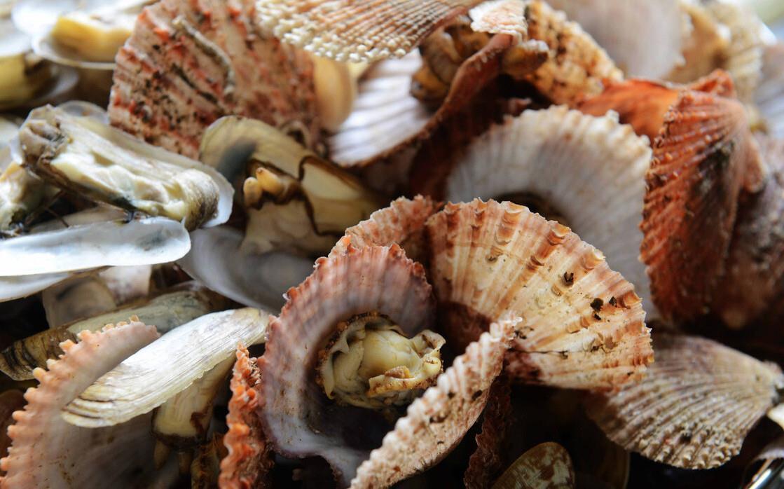 做扇贝别再用水煮了，海边人教你正确做法，肉质鲜嫩不回缩