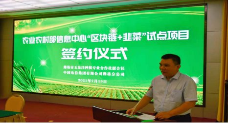 区块链|中国电信潍坊公司“区块链+韭菜”试点项目打造智慧农业新样板