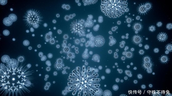 鼠李糖乳杆菌|抗过敏益生菌如何选择?不是所有益生菌都有用,菌种搭配很重要