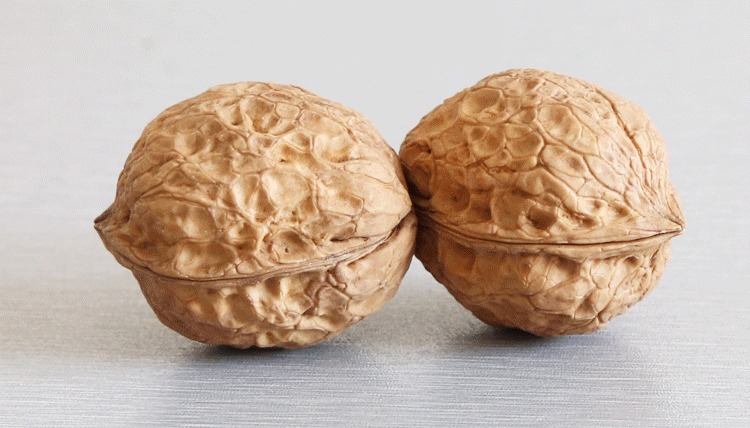 10块钱的核桃放到锅里蒸一蒸，真厉害，很多人都不懂，长见识了