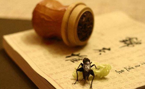 史上有名的6句“脏话”,骂人不带一个脏字,别误以为是在夸你