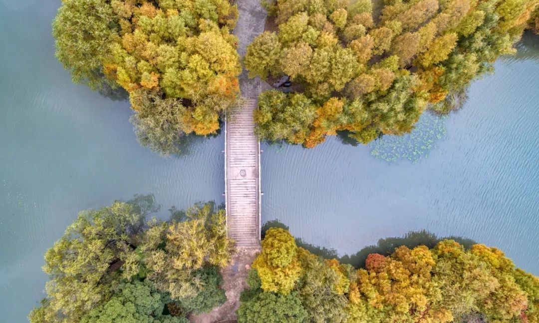 若星辰|［原创］浙江大学，生日快乐！