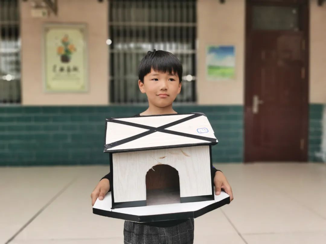 学生|安徽阜南：我给小鸟安个家——阜南一小新集校区举行爱鸟护鸟比赛