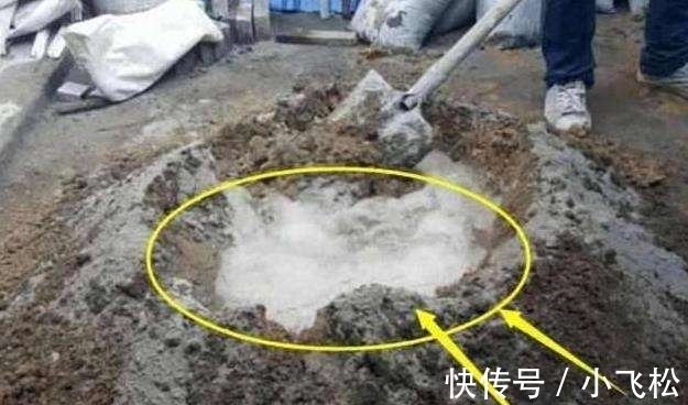 水泥|瓦工的解释不要听! 只要他往水泥里面加了洗衣粉, 立马赶走