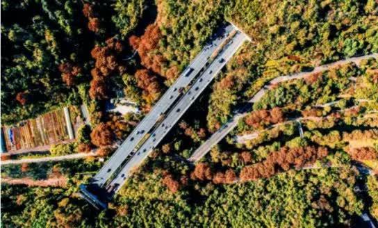 网红又一必打卡地,花果园白宫附近的阿哈湖公园是城市氧吧!