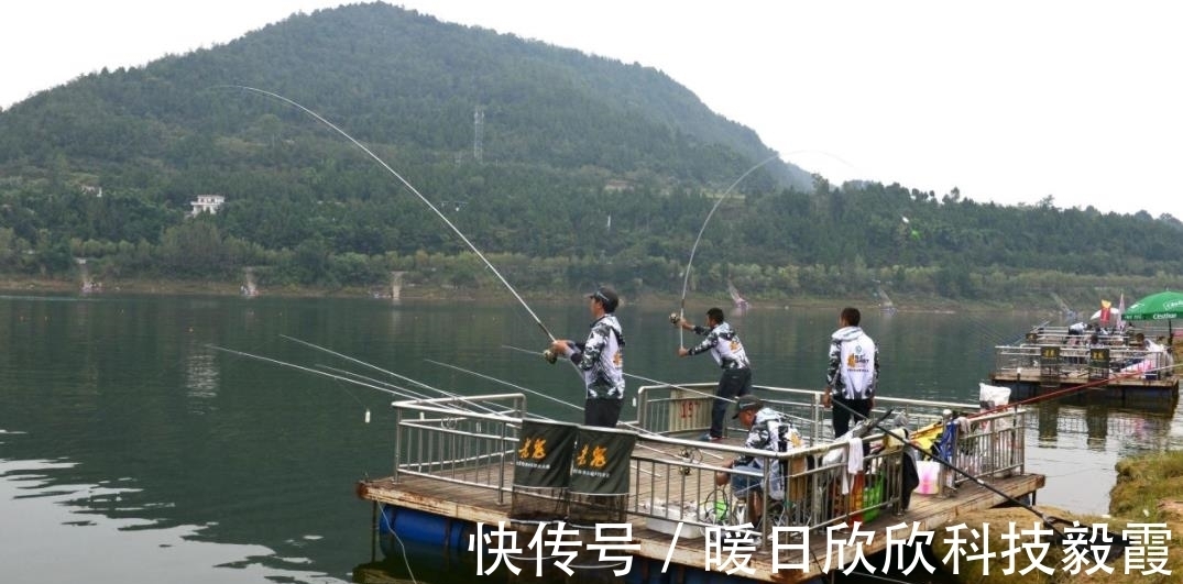 钓鱼|钓鱼这些小技巧能助你一臂之力!资深钓友教我的几个绝招,很实用