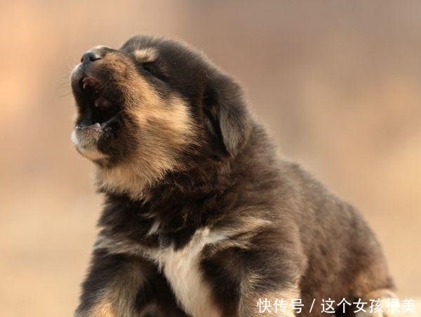 你家|“宅子出三喜,家中人辈出”这三喜是什么呢?快看你家出现了嘛