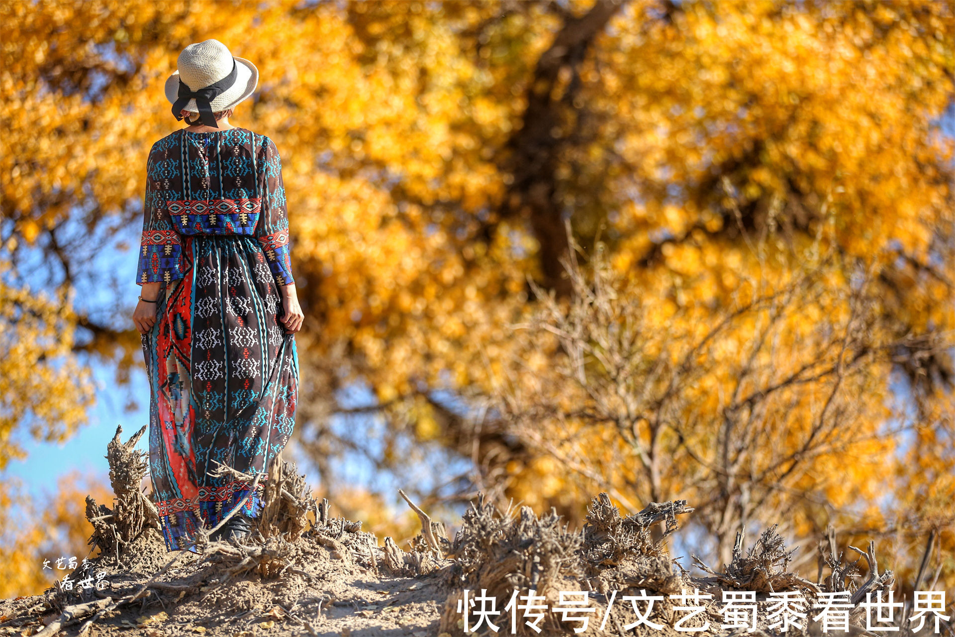 额济纳旗|额济纳旗胡杨要变得金黄了，错过了就要再等一年，找个人陪你去吧