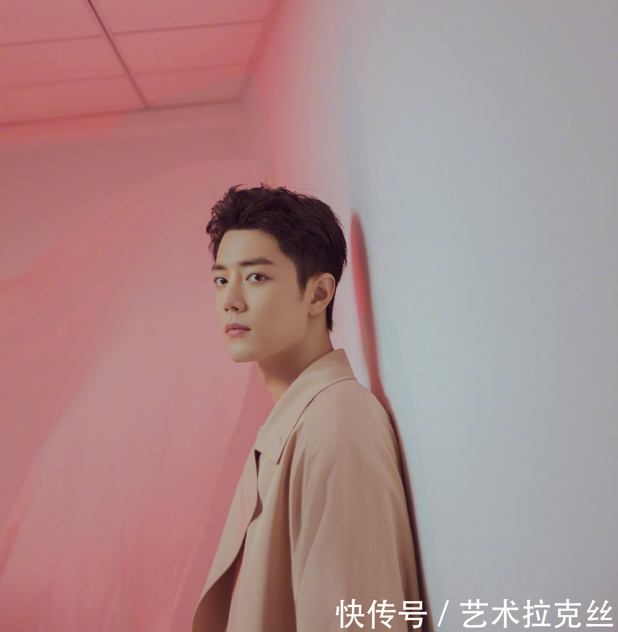 许晴 《如梦之梦》里面肖战的表现,专业