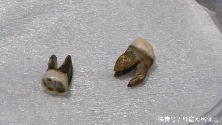 隋炀帝|隋炀帝陵位于什么地方 墓中出土了哪些文物