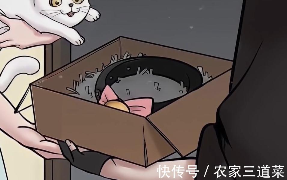 小姐姐|人性动漫:女主播假扮猫咪,爆红网络,殊不知她在人后却是魔鬼