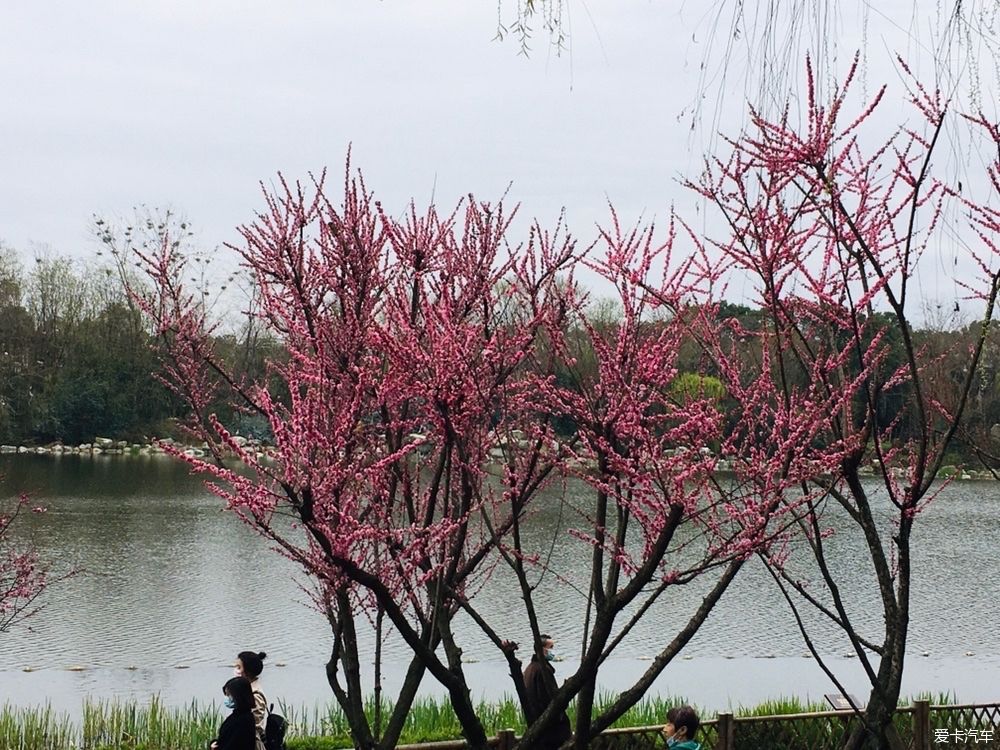 沙滩|游公园，骑单车逛成都，打卡最炫双子塔灯光秀