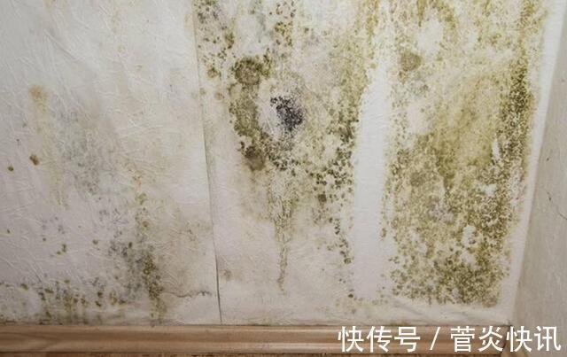 秋季墙面怎么保养3种常见“症状”，对症下药巧上家居美容课