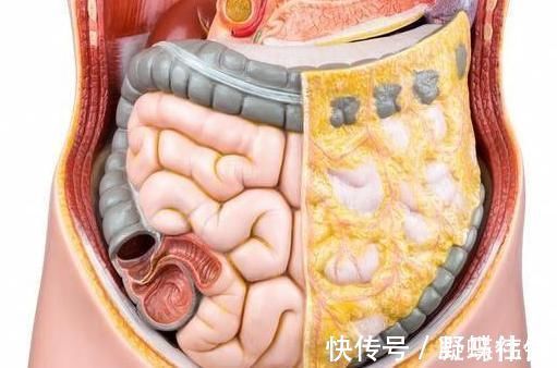 措施|经常“便秘”不舒服,不能光用开塞露,得用一些措施轻松解决!