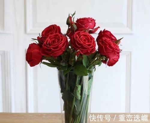 家里万万不要养这几种花,好多人不听劝,难怪身体会越住越差