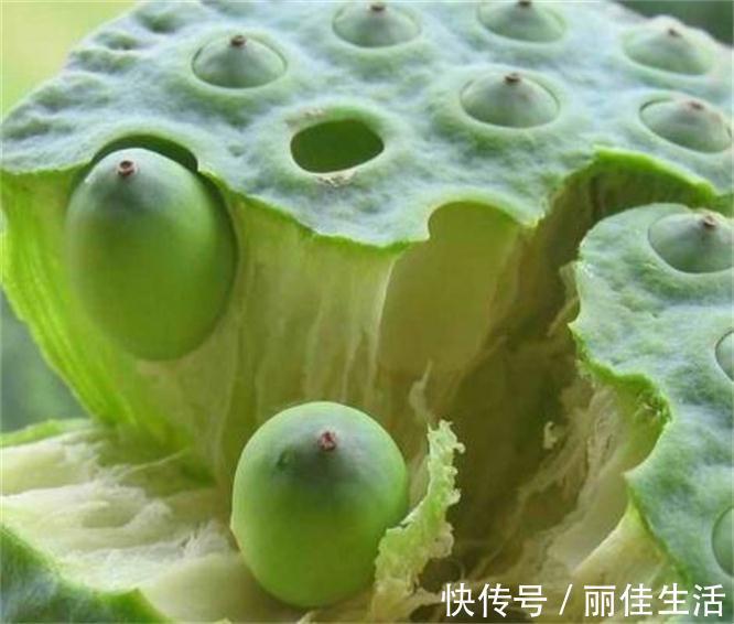 水芝丹|年轻漂亮是资本，女性多吃有百益，淡斑养颜，不显老