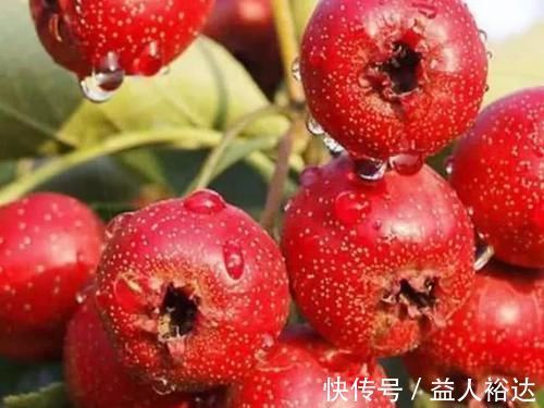 山楂|孕妈在孕期，4种常见水果可不要多吃，或会对胎儿健康不利