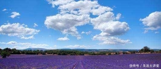 田野|薰衣草的田野，明星，法国马赛的海岸和教堂，如果你想念他们