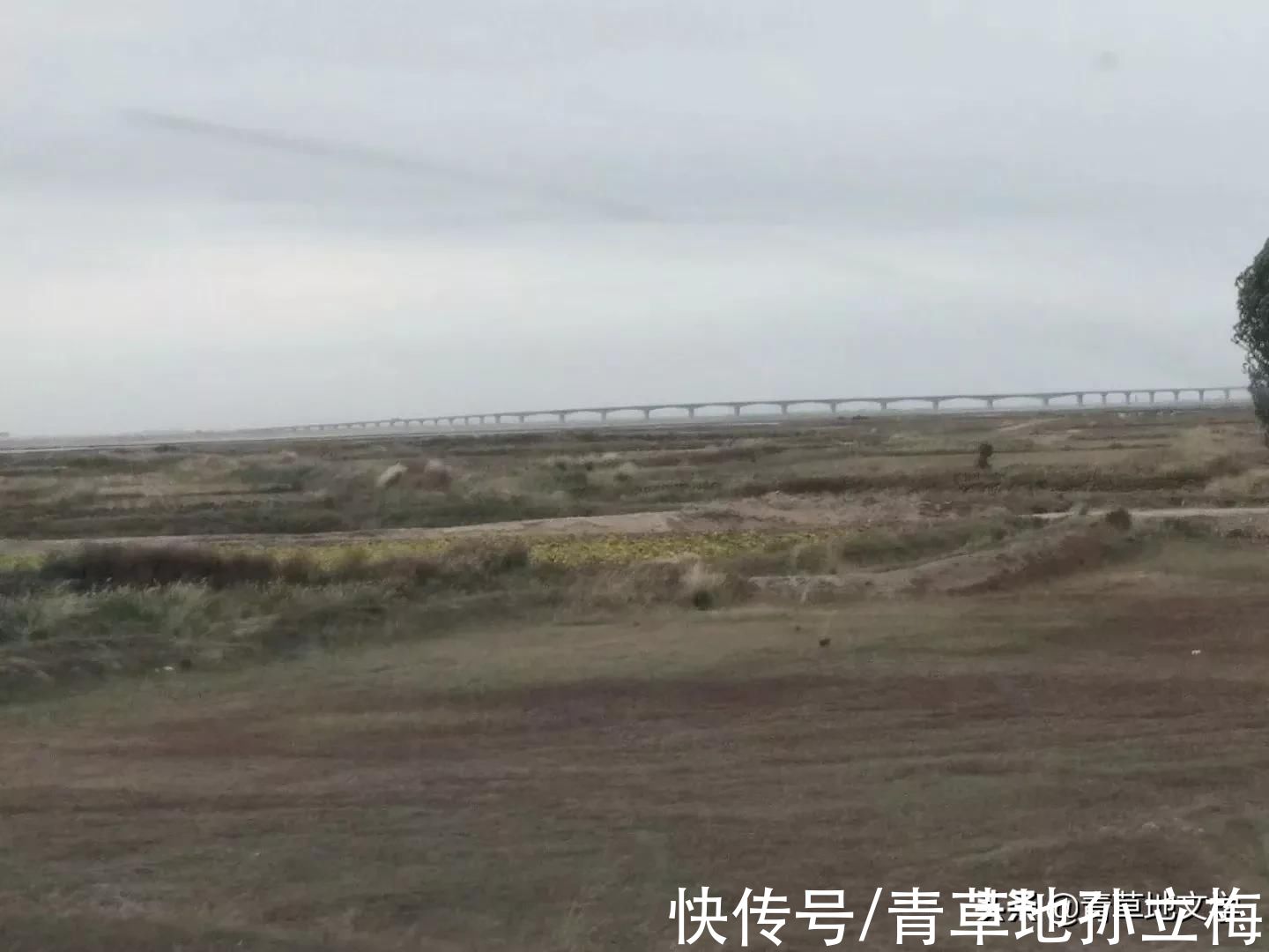 梭梭林@屠申泽，今日芦花又飞雪(组诗)