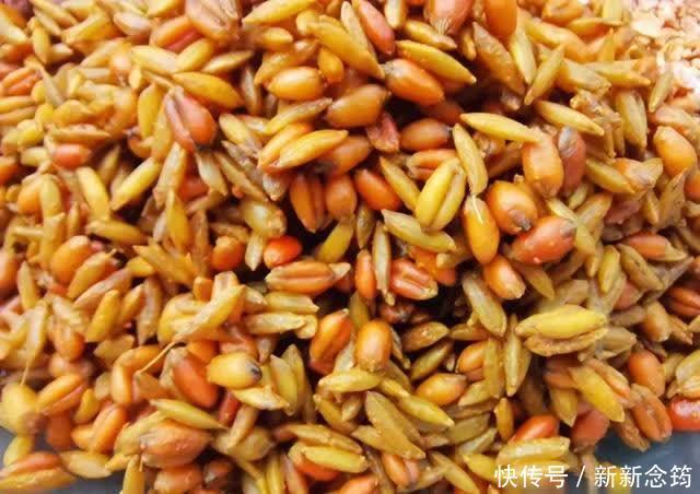 玉米|用了十年的窝料配方!老钓友无私分享,看一眼就能学会