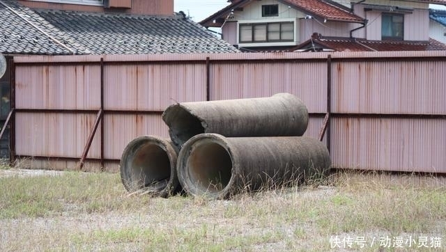 大雄|日本网友 哆啦A梦里的空地找到了, 一模一样